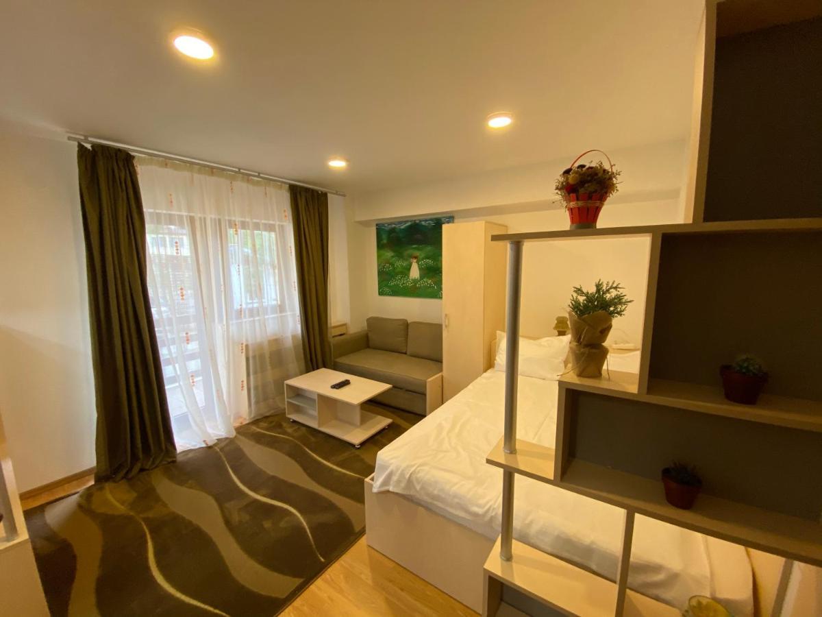 Sinaia Chic Minisuite Mirage-Self Check-In&Free Parking Екстер'єр фото