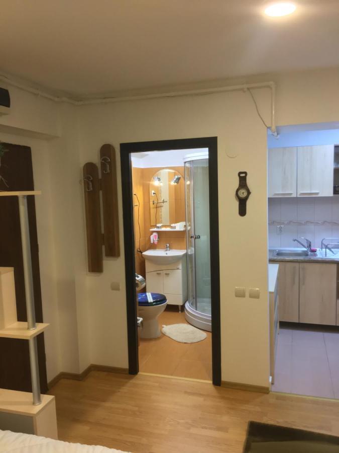 Sinaia Chic Minisuite Mirage-Self Check-In&Free Parking Екстер'єр фото